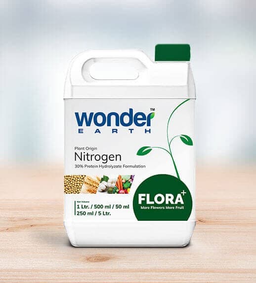 Wonder Earth Flora