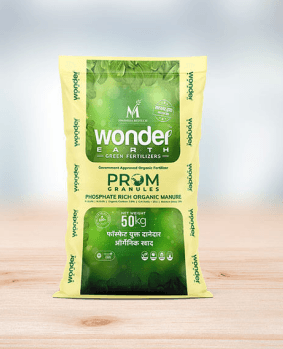 Wonder Earth PROM