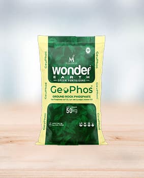 Wonder Earth GeoPhos